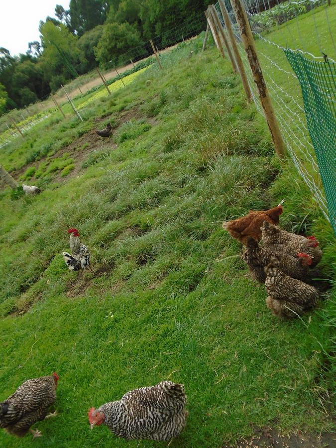 Turismo Rural El Gobernador Villaviciosa  Dış mekan fotoğraf